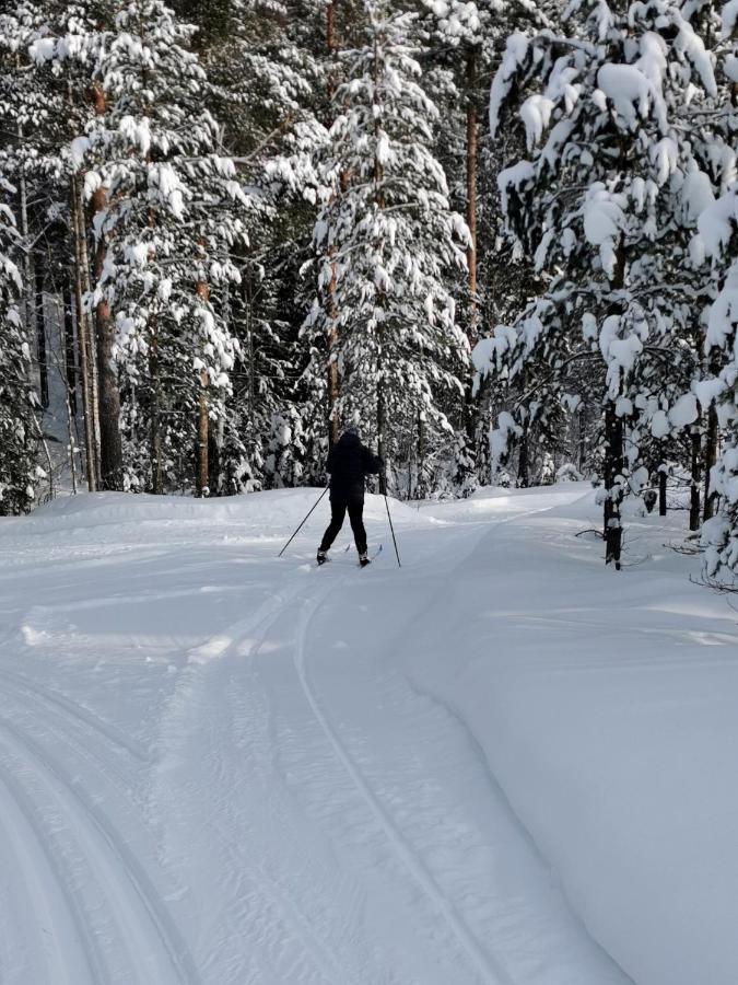 Nordic Character Pensionat Vidsel Eksteriør billede